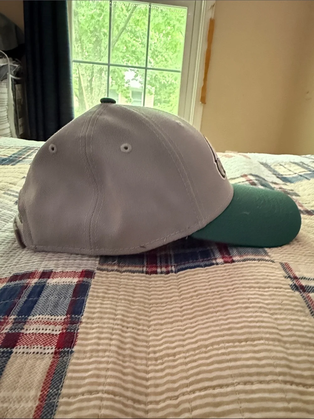 Philadelphia Eagles Logo Hat